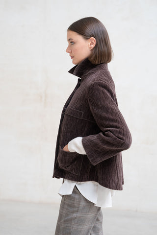 CAZADORA TERCIOPELO CORTES MARRON